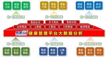 互联网 健康医疗大数据应用